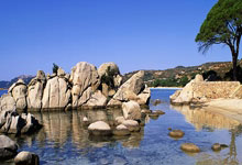 华体会官方平台下载-诺坎普的救赎，巴萨单节风暴拉开美国，拉亚的封神之战