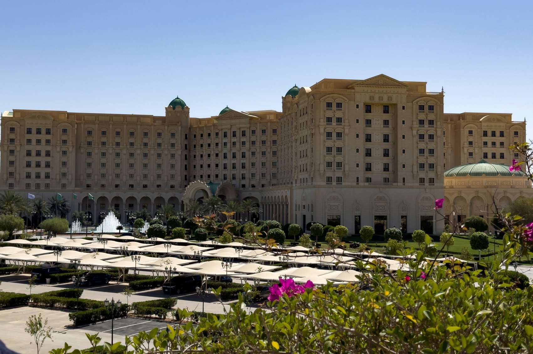 关于沙特阿拉伯代表团抢眼，攀升迅猛的信息